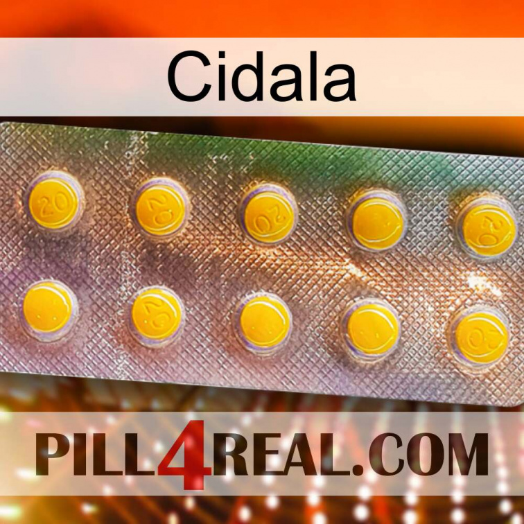 Cidala new11